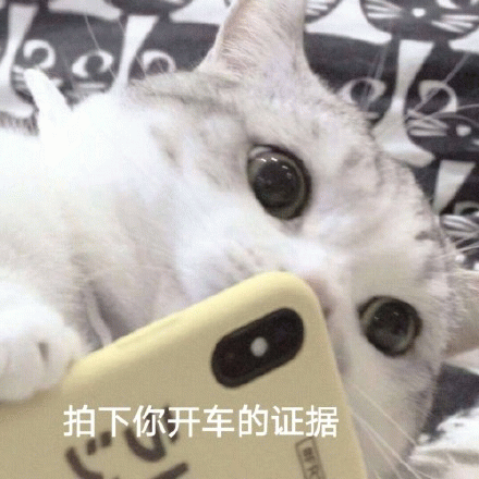 示例图片